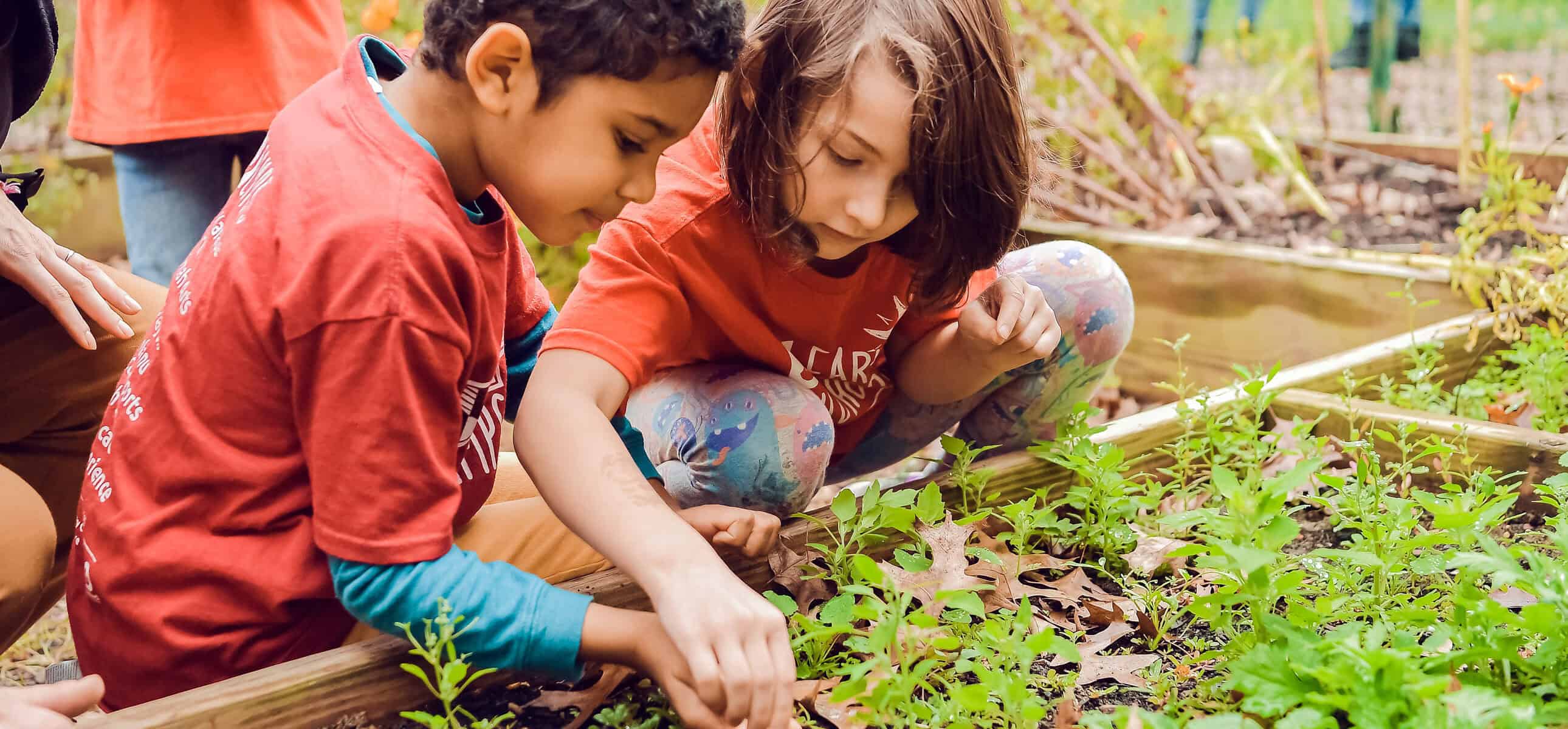 preschool children in garden